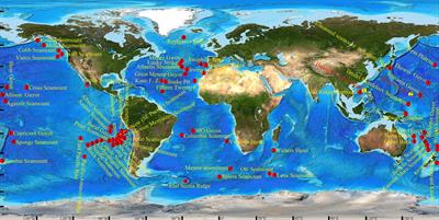 Integrative Taxonomy Reveals Two New Species of Stalked Barnacle (Cirripedia, Thoracica) From Seamounts of the Western Pacific With a Review of <mark class="highlighted">Barnacles</mark> Distributed in Seamounts Worldwide